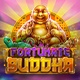 Fortune Buddha